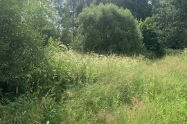 Участок 240 сот 