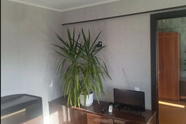 трёшка в центре