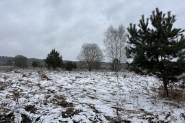 Участок 20 соток 