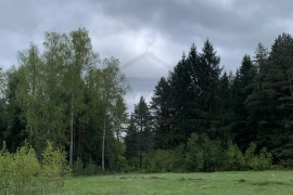 Участок 30 сот