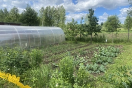 дача 6,0 соток