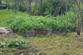 Дом 44кв.м участок 11 соток