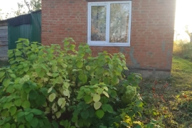 Дом 25 кв.м, 24 сот