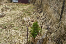 Продам участок 8 соток 