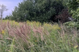 Участок 24,48 соток