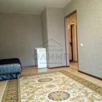 1-к. квартира, 33,3 м², 2/3 эт.