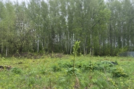 Участок 9,24 сот